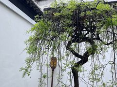 -南京市民俗博物馆(甘熙故居)
