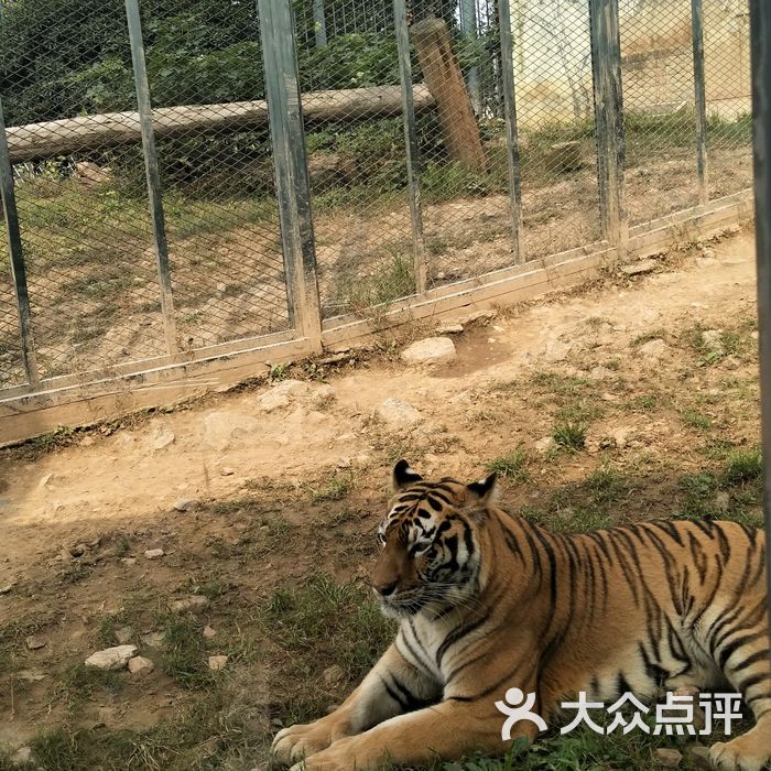 無錫動物園·太湖歡樂園