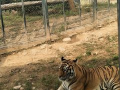 -无锡动物园·太湖欢乐园