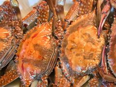 -舌尖上·霞浦滩涂海鲜·新闽菜(总店)