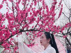 -秀丽东方