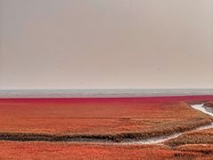 -红海滩国家风景廊道