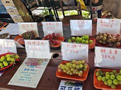 -马陆小张葡萄园农家乐