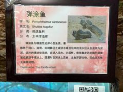 -上海大自然野生昆虫馆(东方明珠·爬宠昆虫探索中心)