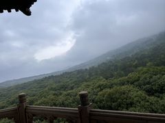 -灵谷景区