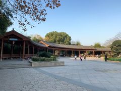 -金银湖国家城市湿地公园