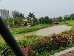 -美的鹭湖森林度假区