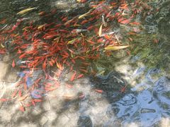 -水磨沟公园