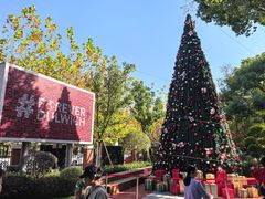 -上海德威外籍人员子女学校(浦东校区)