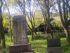 -大唐贡茶院