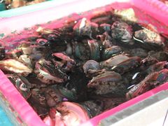 -清水湾3号(东方小周海鲜店)