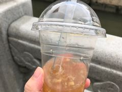 -刘蒲记