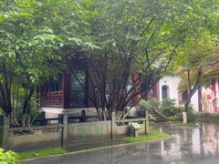 -十八棵（老龙井）御茶园(老龙井店)