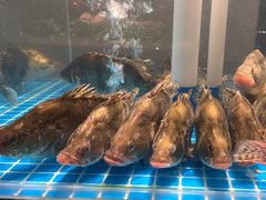 -好瑜筷桂鱼专门店(植物园店)