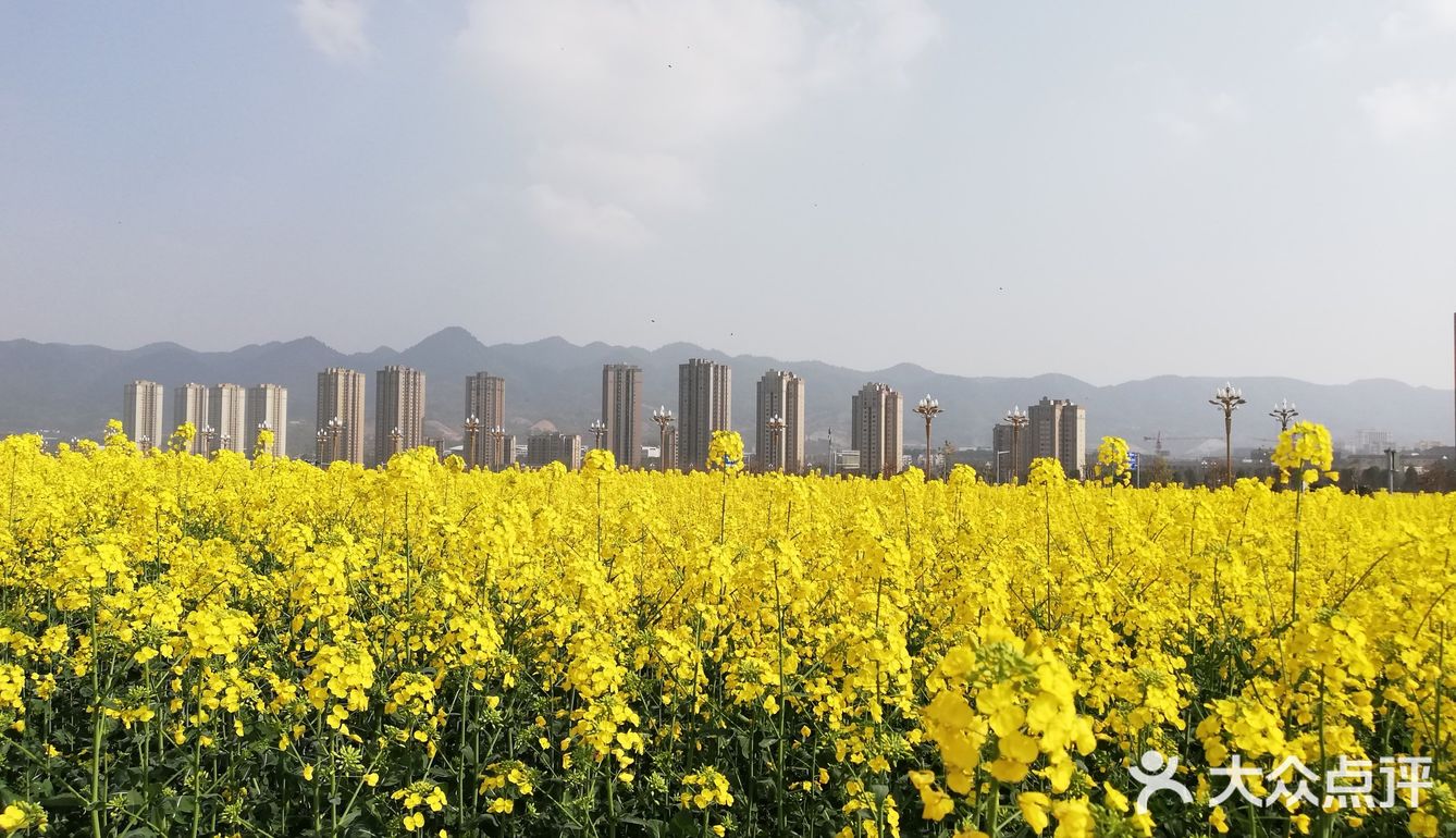 旅游攻略|重庆这3个景点推荐
