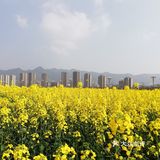 旅游攻略|重庆这3个景点推荐