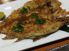 -青叶日式料理(飘亮阳光广场店)