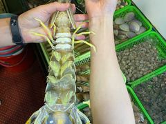 超大濑尿虾-凯华海鲜火锅·传承三十六年