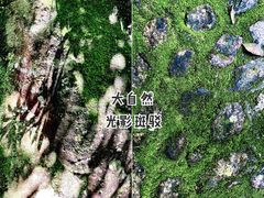 -千泷沟大瀑布旅游区