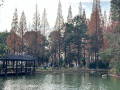 -宝岩生态观光园