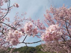 -苏州上方山国家森林公园