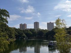 -晓港公园