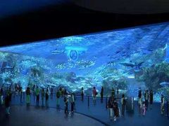 -成都浩海立方海洋公园