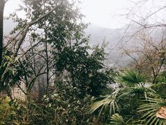 -武隆天坑寨子景区