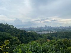 -火炉山森林公园