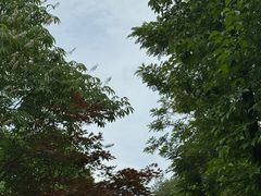 -麦积山温泉