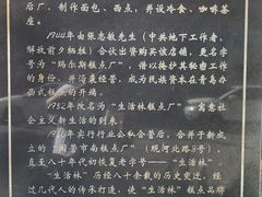 -生活林(河北路店)