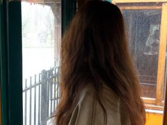 -合肥滨湖国家森林公园