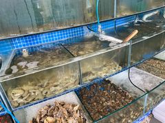 水产区-蟹谢蒸鲜自助餐厅