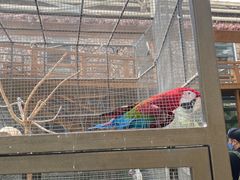 -南宫五洲植物乐园