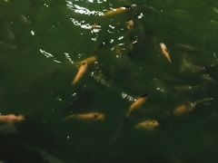 -水都餐厅