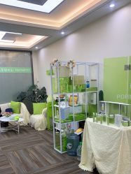 -凡碧诗毛孔清洁收细