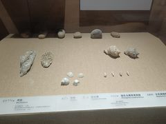 -烟台市博物馆