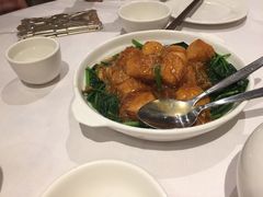 -食为先(Shark Fin)