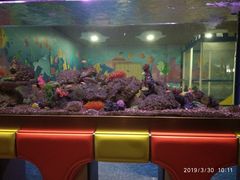 -御池园(顾村公园店)