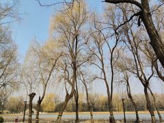 -圆明园停车场
