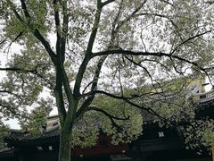 -西园戒幢律寺