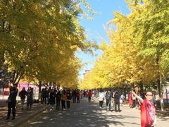 -辽宁大学(崇山校区)
