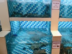 -野渡坡·极致湘菜·庭院餐厅(汉阳店)