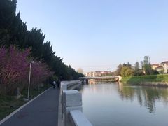-嘉定紫藤园
