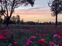 -汉长安城未央宫国家考古遗址公园