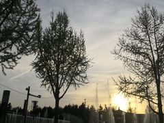 -大雁塔北广场音乐喷泉