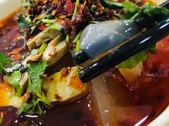 凉粉-东方削面(市政府店)