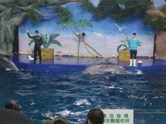 -石家庄极地海洋世界
