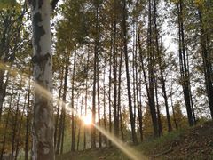 -贵阳市花溪国家城市湿地公园