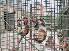 -南京金牛湖风景区